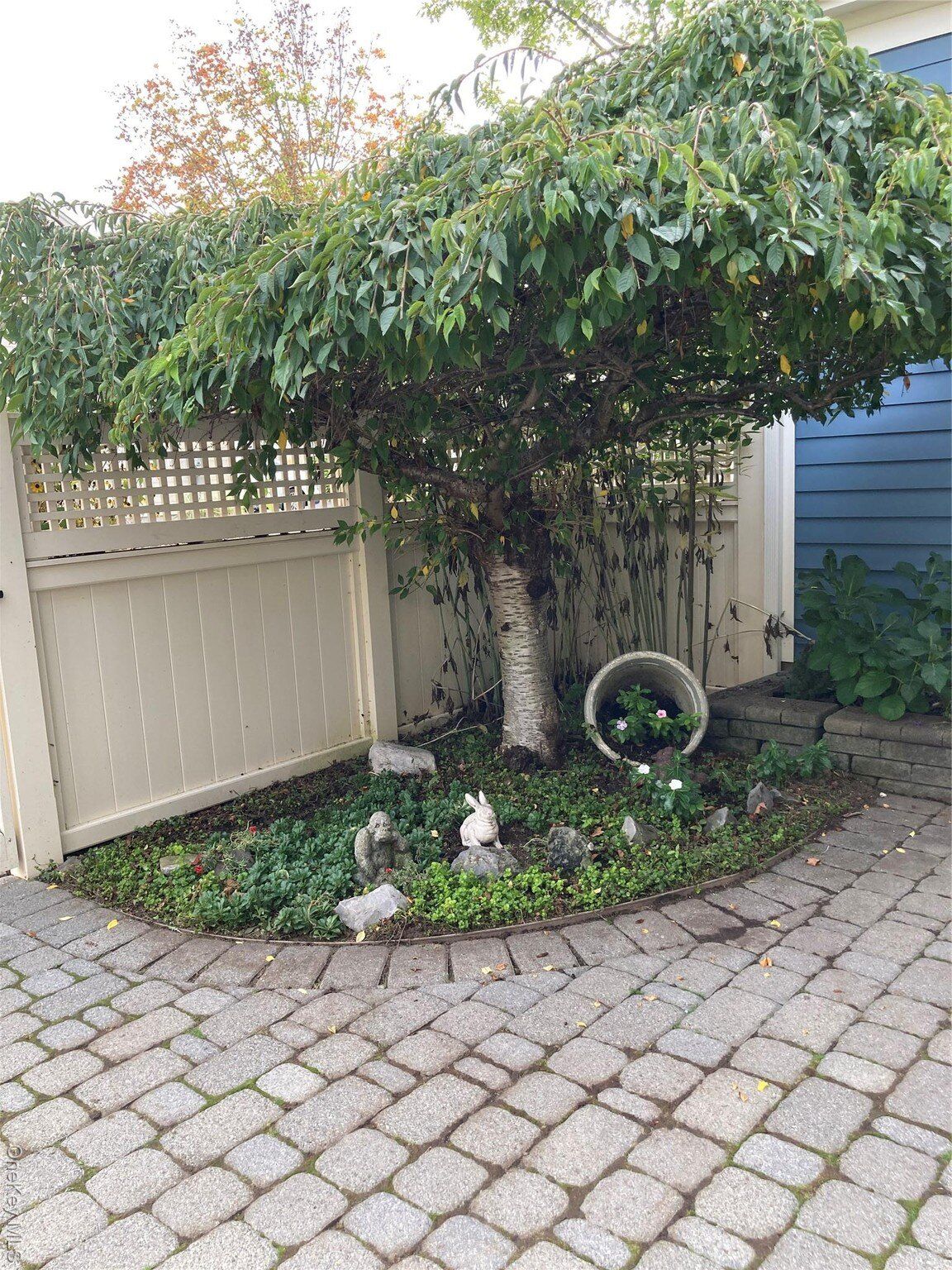 11 Aske St Photo 5 - 3yd-MLSLINY-919974
