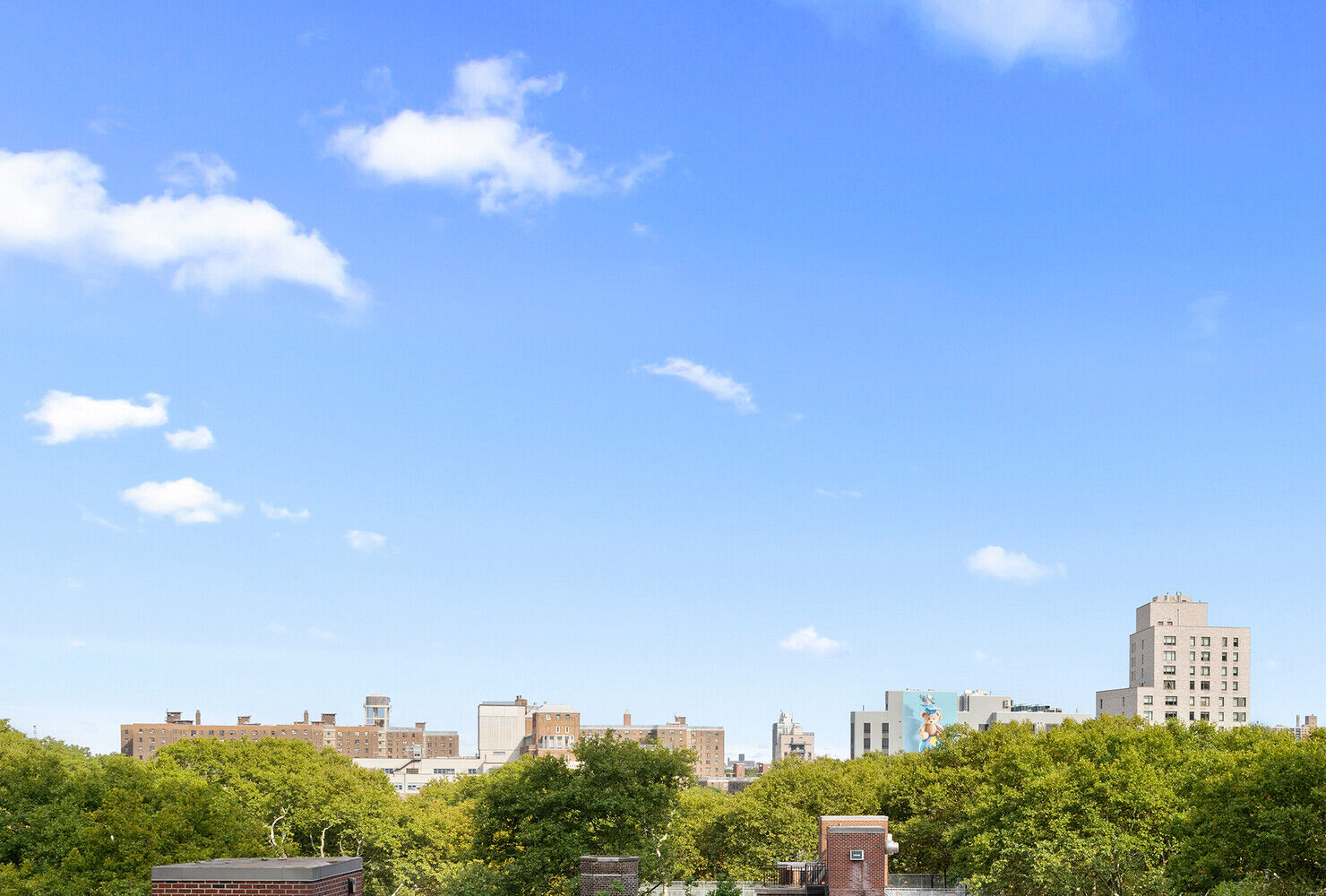 176 Johnson St Photo 3 - NYC-Real-Estate-860542