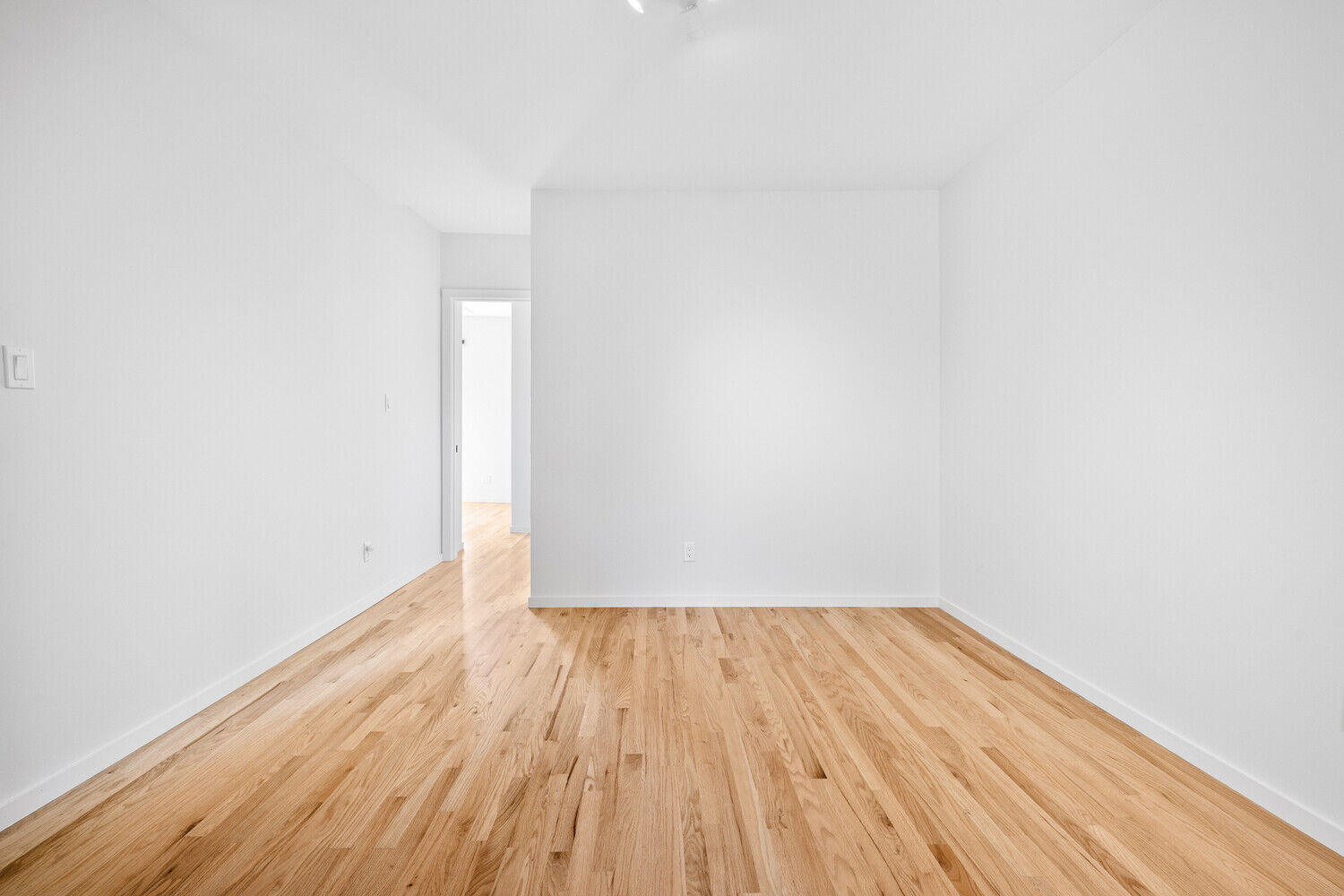 Hoyt Street Photo 6 - NYC-Real-Estate-860747