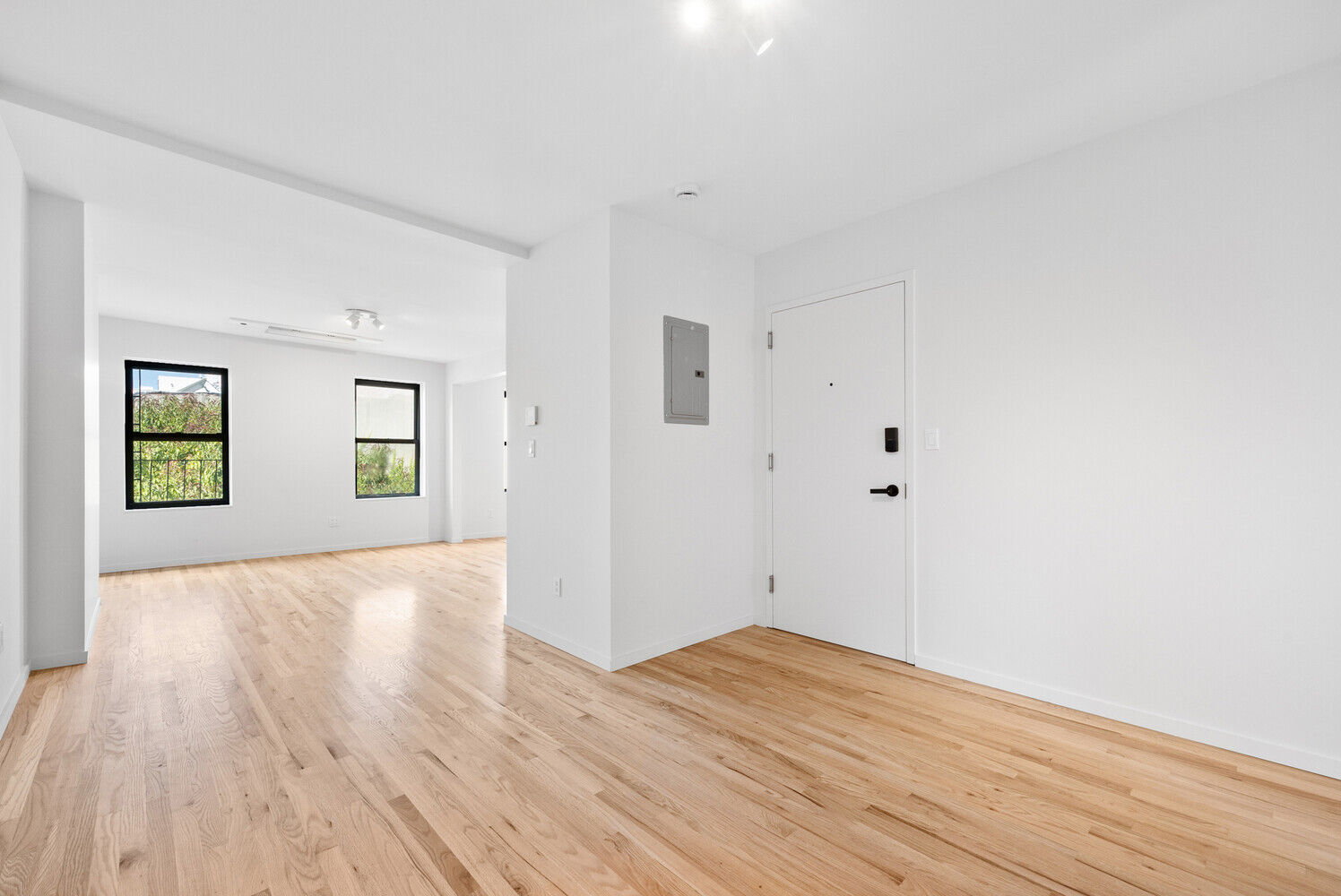 Hoyt Street Photo 5 - NYC-Real-Estate-860747