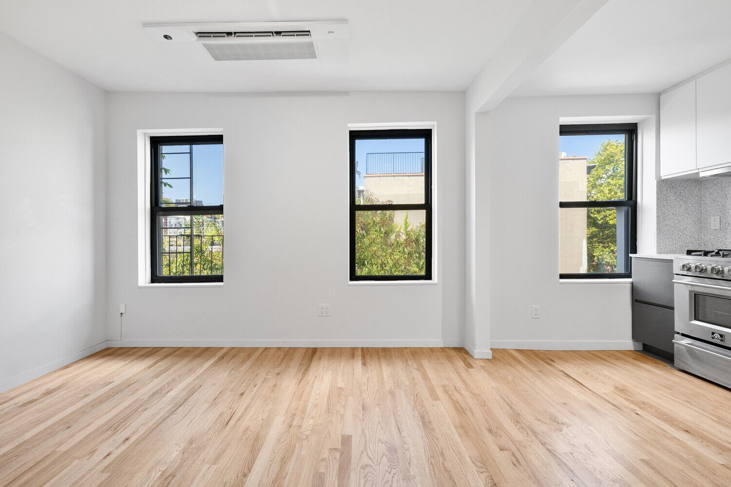 Hoyt Street Photo 2 - NYC-Real-Estate-860747