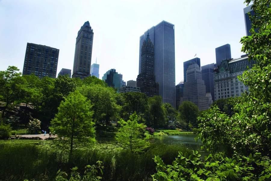 ELLIMAN-2921521 Property Picture