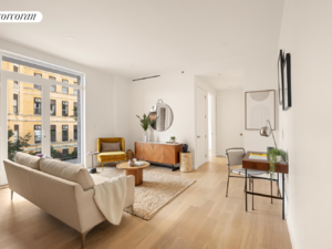 462 St Marks Avenue, #503