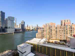 625 Main St, #1244